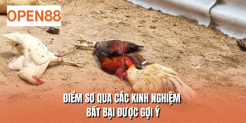 Điểm sơ qua các kinh nghiệm bất bại được gợi ý